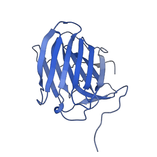 35076_8hxc_B_v1-1
Cryo-EM structure of MPXV M2 heptamer in complex with human B7.2