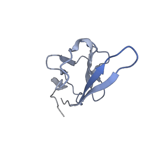 35076_8hxc_H_v1-1
Cryo-EM structure of MPXV M2 heptamer in complex with human B7.2