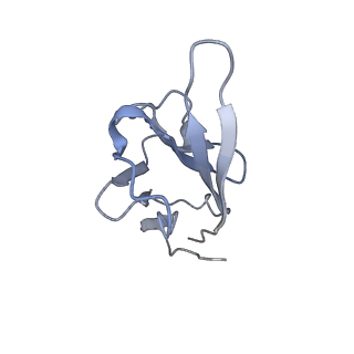35076_8hxc_I_v1-1
Cryo-EM structure of MPXV M2 heptamer in complex with human B7.2