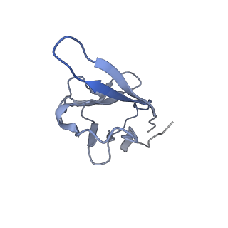 35076_8hxc_J_v1-1
Cryo-EM structure of MPXV M2 heptamer in complex with human B7.2