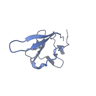 35076_8hxc_K_v1-1
Cryo-EM structure of MPXV M2 heptamer in complex with human B7.2