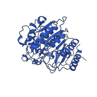 35081_8hxx_L_v1-4
Cryo-EM structure of the histone deacetylase complex Rpd3S