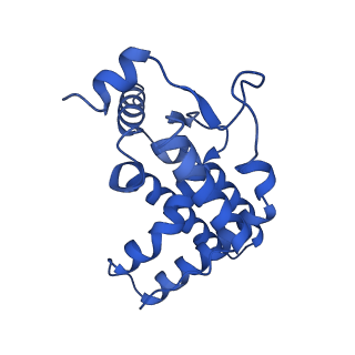 35081_8hxx_M_v1-4
Cryo-EM structure of the histone deacetylase complex Rpd3S