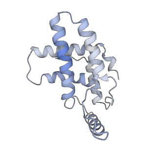 35081_8hxx_O_v1-4
Cryo-EM structure of the histone deacetylase complex Rpd3S