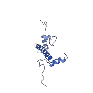 35082_8hxy_C_v1-4
Cryo-EM structure of the histone deacetylase complex Rpd3S in complex with nucleosome