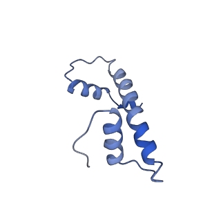 35082_8hxy_F_v1-4
Cryo-EM structure of the histone deacetylase complex Rpd3S in complex with nucleosome