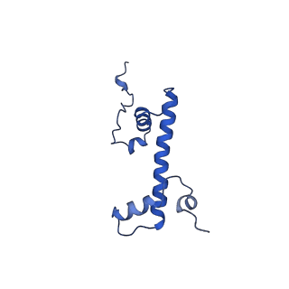 35082_8hxy_G_v1-4
Cryo-EM structure of the histone deacetylase complex Rpd3S in complex with nucleosome