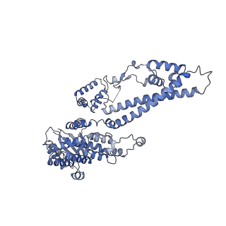35082_8hxy_K_v1-4
Cryo-EM structure of the histone deacetylase complex Rpd3S in complex with nucleosome