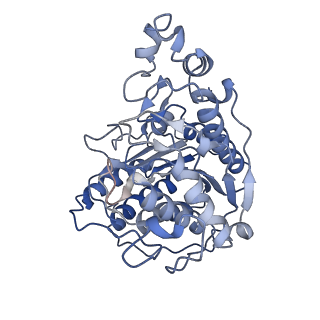 35082_8hxy_L_v1-4
Cryo-EM structure of the histone deacetylase complex Rpd3S in complex with nucleosome