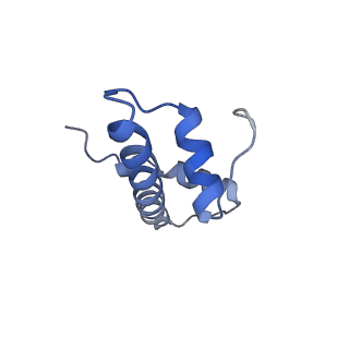 35083_8hxz_B_v1-4
Cryo-EM structure of Eaf3 CHD in complex with nucleosome