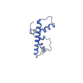 35083_8hxz_C_v1-4
Cryo-EM structure of Eaf3 CHD in complex with nucleosome