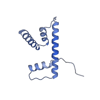 35083_8hxz_D_v1-4
Cryo-EM structure of Eaf3 CHD in complex with nucleosome