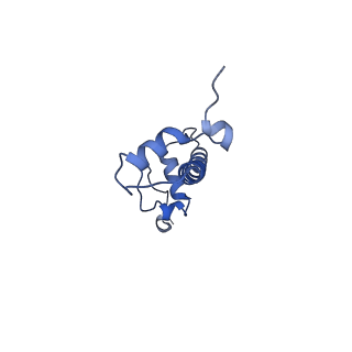 35083_8hxz_G_v1-4
Cryo-EM structure of Eaf3 CHD in complex with nucleosome