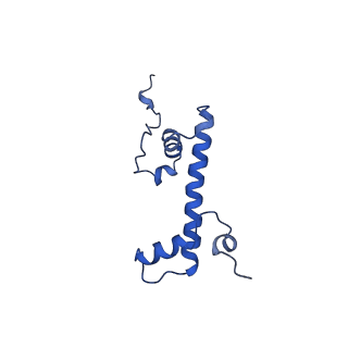 35084_8hy0_G_v1-4
Composite cryo-EM structure of the histone deacetylase complex Rpd3S in complex with nucleosome
