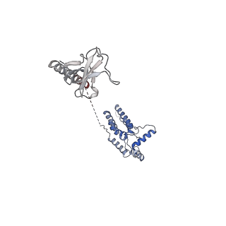 35084_8hy0_M_v1-4
Composite cryo-EM structure of the histone deacetylase complex Rpd3S in complex with nucleosome