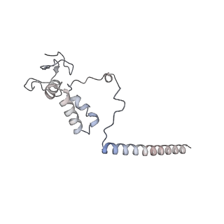 35084_8hy0_P_v1-4
Composite cryo-EM structure of the histone deacetylase complex Rpd3S in complex with nucleosome