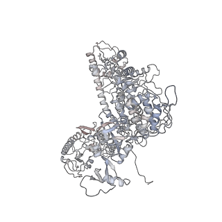 35086_8hyj_A_v1-0
A cryo-EM structure of KTF1-bound polymerase V transcription elongation complex