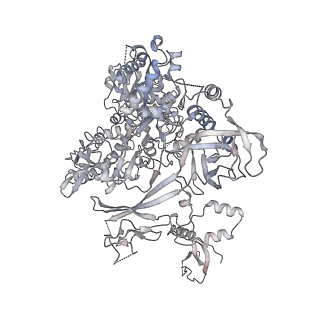 35086_8hyj_B_v1-0
A cryo-EM structure of KTF1-bound polymerase V transcription elongation complex