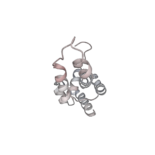 35086_8hyj_D_v1-0
A cryo-EM structure of KTF1-bound polymerase V transcription elongation complex