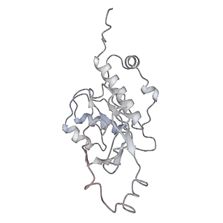35086_8hyj_E_v1-0
A cryo-EM structure of KTF1-bound polymerase V transcription elongation complex