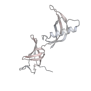 35086_8hyj_G_v1-0
A cryo-EM structure of KTF1-bound polymerase V transcription elongation complex