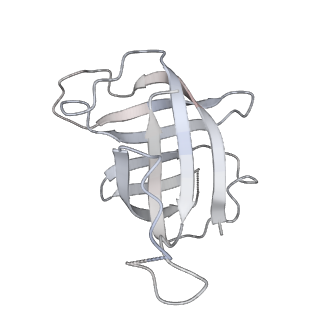 35086_8hyj_H_v1-0
A cryo-EM structure of KTF1-bound polymerase V transcription elongation complex
