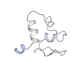 35086_8hyj_J_v1-0
A cryo-EM structure of KTF1-bound polymerase V transcription elongation complex