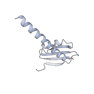 35086_8hyj_K_v1-0
A cryo-EM structure of KTF1-bound polymerase V transcription elongation complex