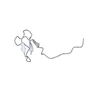 35086_8hyj_L_v1-0
A cryo-EM structure of KTF1-bound polymerase V transcription elongation complex