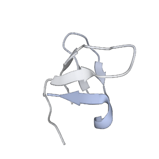 35086_8hyj_W_v1-0
A cryo-EM structure of KTF1-bound polymerase V transcription elongation complex