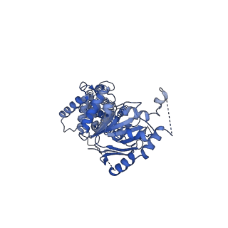 0190_6hzm_A_v1-3
Cryo-EM structure of the ABCG2 E211Q mutant bound to ATP and Magnesium (alternative placement of Magnesium into the cryo-EM density)