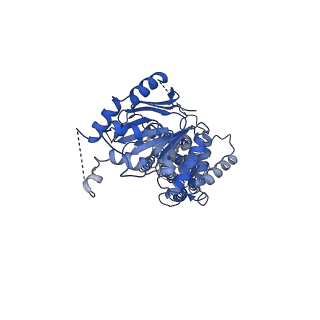 0190_6hzm_B_v1-3
Cryo-EM structure of the ABCG2 E211Q mutant bound to ATP and Magnesium (alternative placement of Magnesium into the cryo-EM density)
