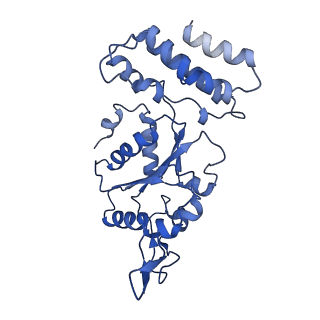 0310_6hz4_C_v1-2
Structure of McrBC without DNA binding domains (one half of the full complex)