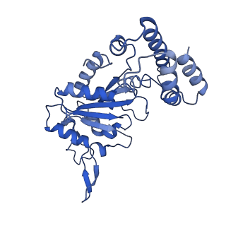 0310_6hz4_D_v1-2
Structure of McrBC without DNA binding domains (one half of the full complex)