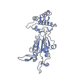 0311_6hz5_B_v1-1
Structure of McrBC without DNA binding domains (Class 1)
