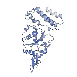 0311_6hz5_C_v1-1
Structure of McrBC without DNA binding domains (Class 1)