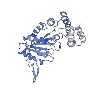 0311_6hz5_D_v1-1
Structure of McrBC without DNA binding domains (Class 1)