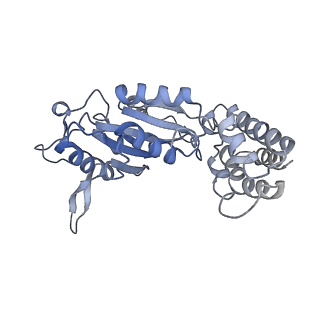 0311_6hz5_E_v1-1
Structure of McrBC without DNA binding domains (Class 1)