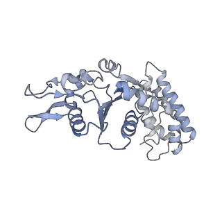 0311_6hz5_F_v1-1
Structure of McrBC without DNA binding domains (Class 1)