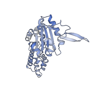 0311_6hz5_G_v1-1
Structure of McrBC without DNA binding domains (Class 1)