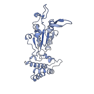 0311_6hz5_H_v1-1
Structure of McrBC without DNA binding domains (Class 1)