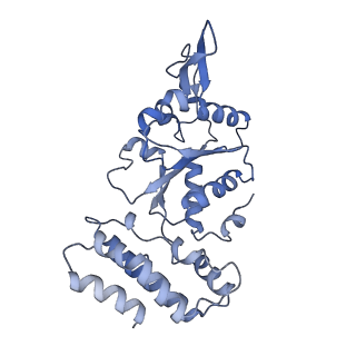 0311_6hz5_I_v1-1
Structure of McrBC without DNA binding domains (Class 1)