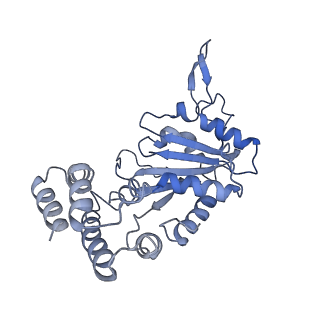 0311_6hz5_J_v1-1
Structure of McrBC without DNA binding domains (Class 1)