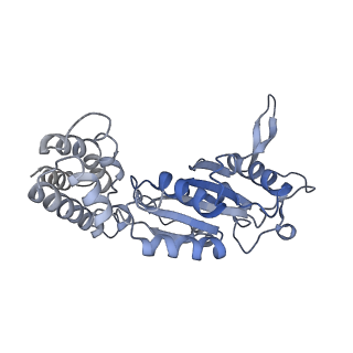 0311_6hz5_K_v1-1
Structure of McrBC without DNA binding domains (Class 1)