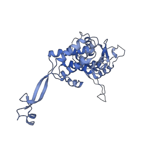 0311_6hz5_M_v1-1
Structure of McrBC without DNA binding domains (Class 1)