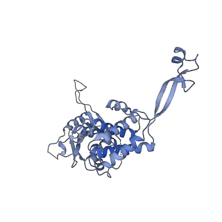 0311_6hz5_N_v1-1
Structure of McrBC without DNA binding domains (Class 1)