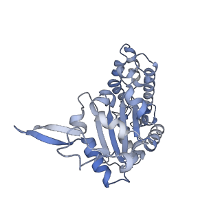 0312_6hz6_A_v1-1
Structure of McrBC without DNA binding domains (Class 2)