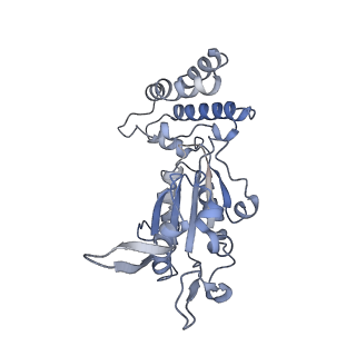 0312_6hz6_B_v1-1
Structure of McrBC without DNA binding domains (Class 2)