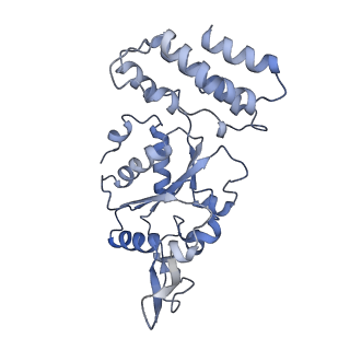 0312_6hz6_C_v1-1
Structure of McrBC without DNA binding domains (Class 2)