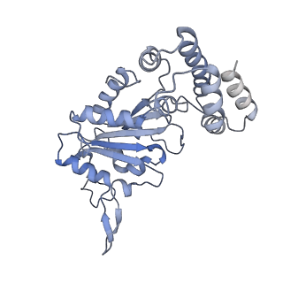 0312_6hz6_D_v1-1
Structure of McrBC without DNA binding domains (Class 2)